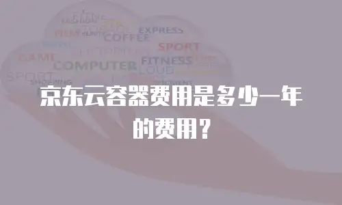 京东云容器费用是多少一年的费用？