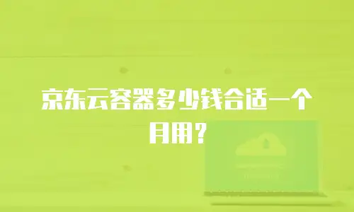 京东云容器多少钱合适一个月用？