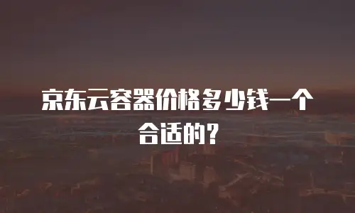 京东云容器价格多少钱一个合适的？