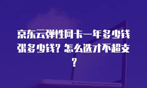 京东云弹性网卡一年多少钱张多少钱？怎么选才不超支？