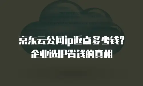 京东云公网ip返点多少钱？企业选IP省钱的真相