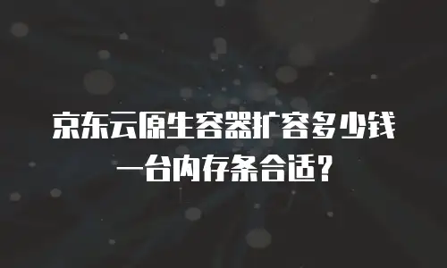 京东云原生容器扩容多少钱一台内存条合适？