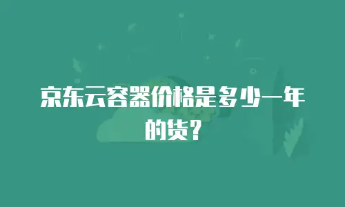京东云容器价格是多少一年的货？