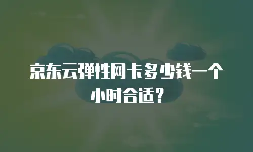 京东云弹性网卡多少钱一个小时合适？