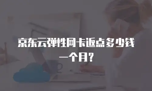 京东云弹性网卡返点多少钱一个月？