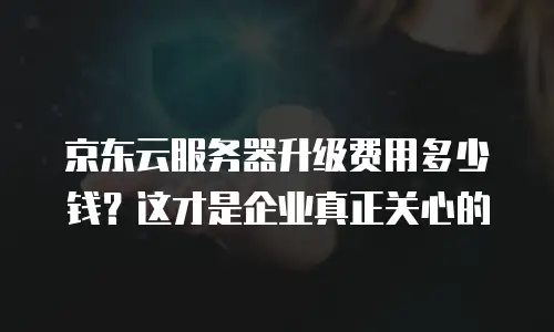京东云服务器升级费用多少钱？这才是企业真正关心的