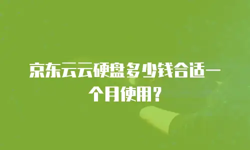京东云云硬盘多少钱合适一个月使用？