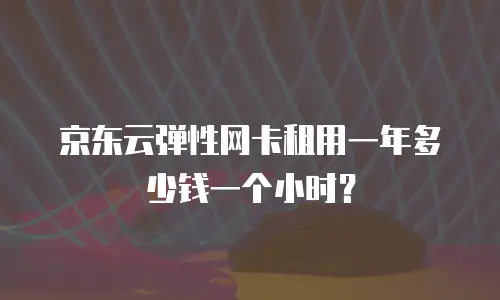 京东云弹性网卡租用一年多少钱一个小时？