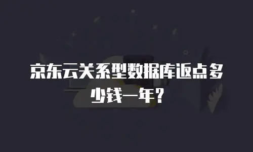 京东云关系型数据库返点多少钱一年？