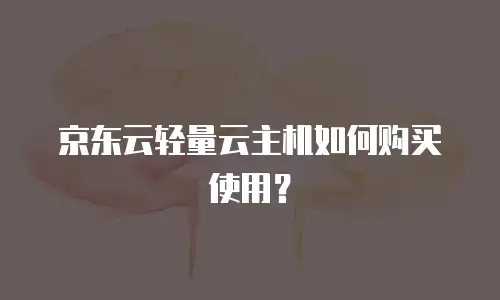京东云轻量云主机如何购买使用？