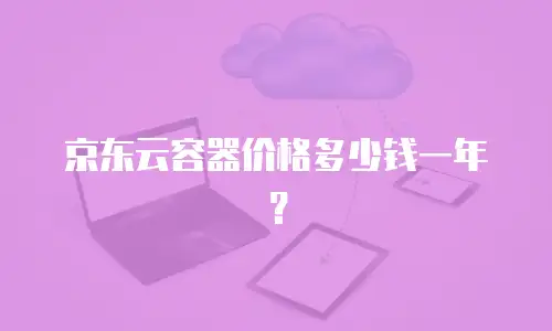 京东云容器价格多少钱一年？