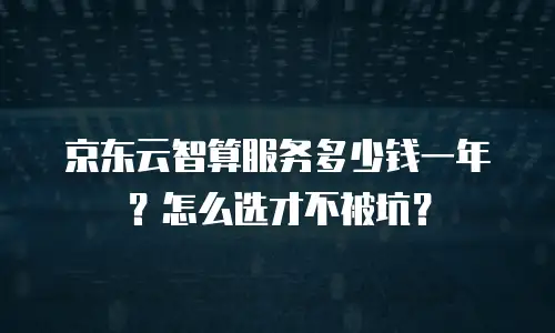京东云智算服务多少钱一年？怎么选才不被坑？