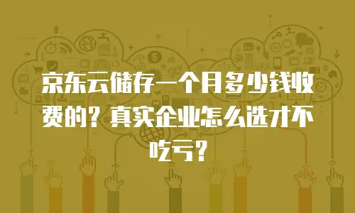 京东云储存一个月多少钱收费的？真实企业怎么选才不吃亏？