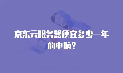 京东云服务器便宜多少一年的电脑？