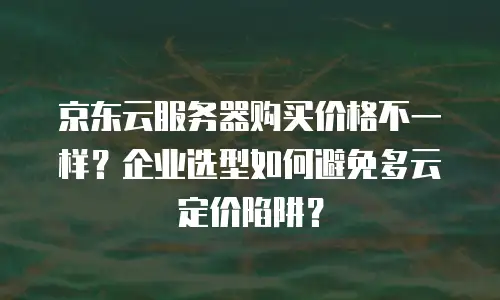 京东云服务器购买价格不一样？企业选型如何避免多云定价陷阱？