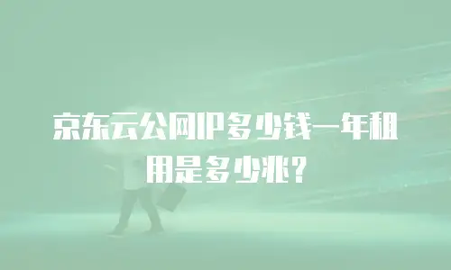 京东云公网IP多少钱一年租用是多少兆？