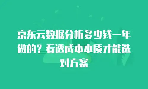 京东云数据分析多少钱一年做的？看透成本本质才能选对方案