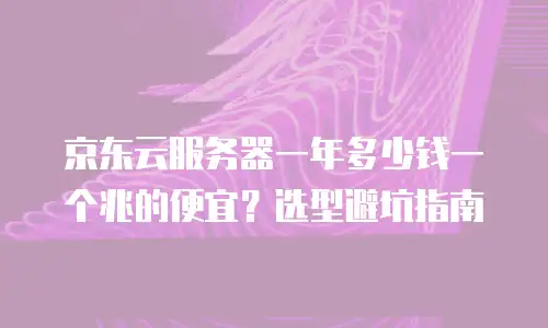 京东云服务器一年多少钱一个兆的便宜？选型避坑指南