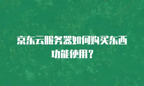 京东云服务器如何购买东西功能使用？