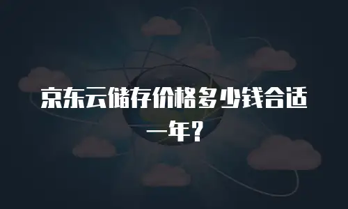 京东云储存价格多少钱合适一年？