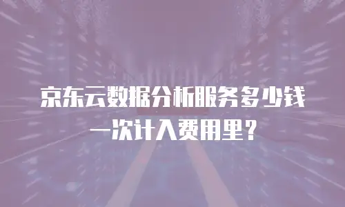 京东云数据分析服务多少钱一次计入费用里？