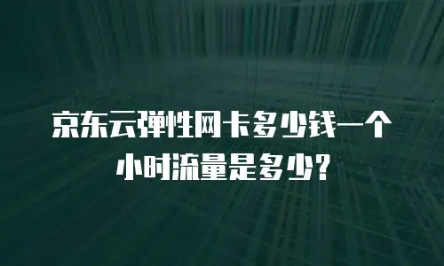 京东云弹性网卡多少钱一个小时流量是多少？