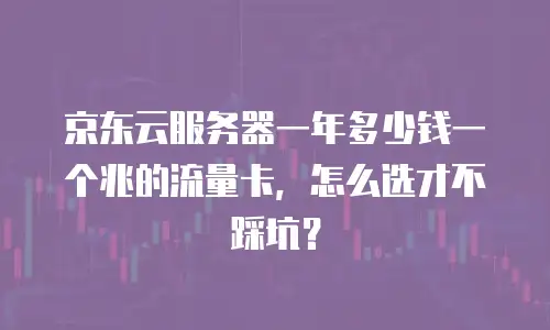 京东云服务器一年多少钱一个兆的流量卡，怎么选才不踩坑？