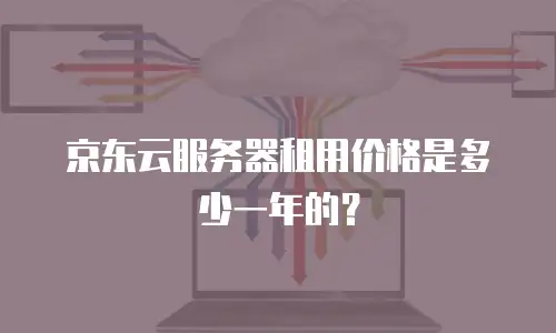京东云服务器租用价格是多少一年的？