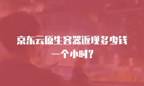 京东云原生容器返现多少钱一个小时？