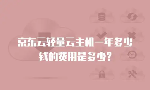 京东云轻量云主机一年多少钱的费用是多少？