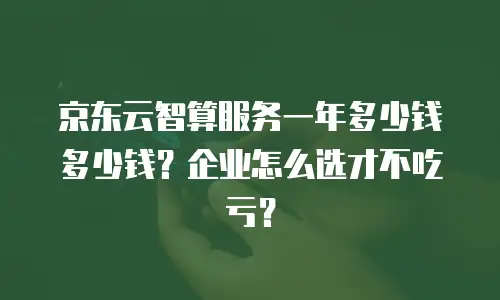京东云智算服务一年多少钱多少钱？企业怎么选才不吃亏？