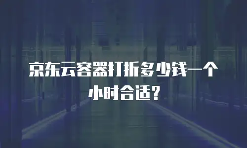 京东云容器打折多少钱一个小时合适？