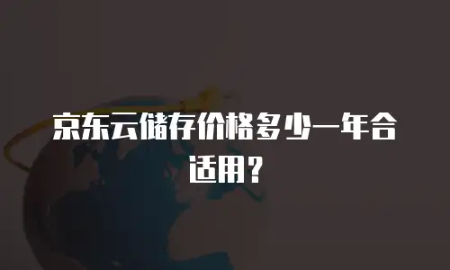 京东云储存价格多少一年合适用？