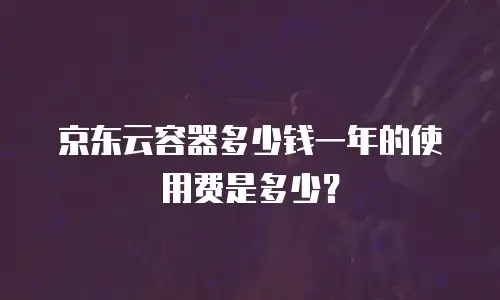 京东云容器多少钱一年的使用费是多少？