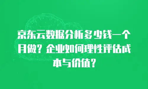 京东云数据分析多少钱一个月做？企业如何理性评估成本与价值？