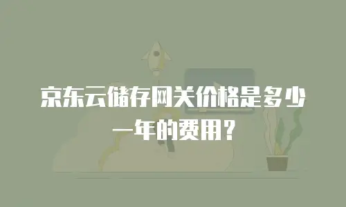 京东云储存网关价格是多少一年的费用？