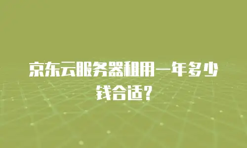 京东云服务器租用一年多少钱合适？