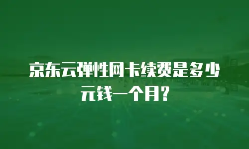 京东云弹性网卡续费是多少元钱一个月？