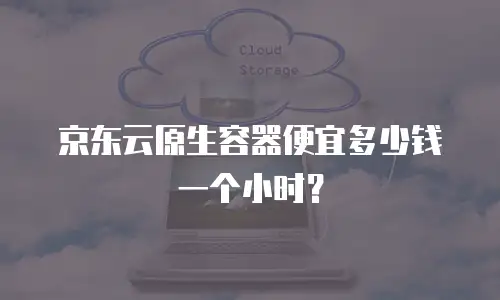 京东云原生容器便宜多少钱一个小时？