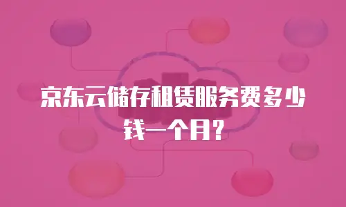 京东云储存租赁服务费多少钱一个月？
