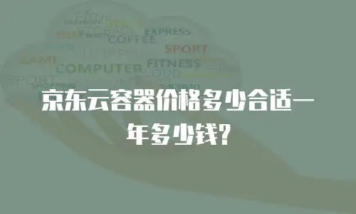 京东云容器价格多少合适一年多少钱？
