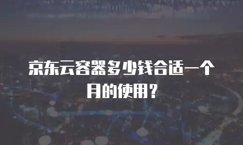 京东云容器多少钱合适一个月的使用？