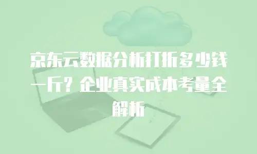 京东云数据分析打折多少钱一斤？企业真实成本考量全解析