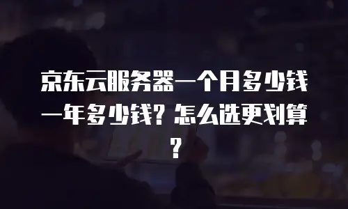京东云服务器一个月多少钱一年多少钱？怎么选更划算？