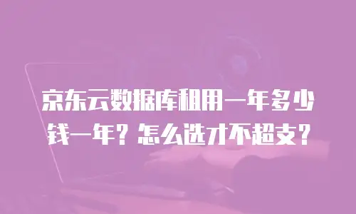 京东云数据库租用一年多少钱一年？怎么选才不超支？