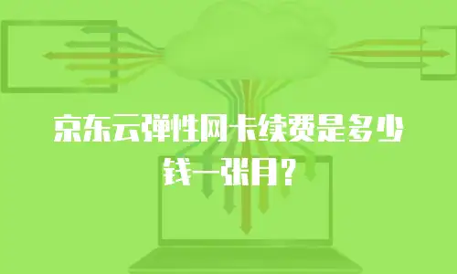 京东云弹性网卡续费是多少钱一张月？