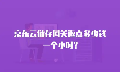 京东云储存网关返点多少钱一个小时？