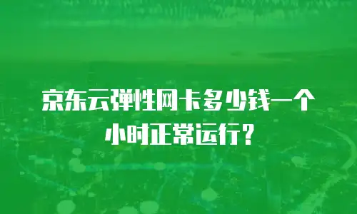 京东云弹性网卡多少钱一个小时正常运行？