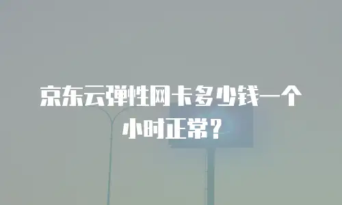 京东云弹性网卡多少钱一个小时正常？