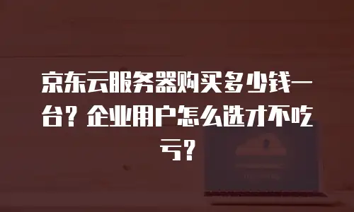 京东云服务器购买多少钱一台？企业用户怎么选才不吃亏？
